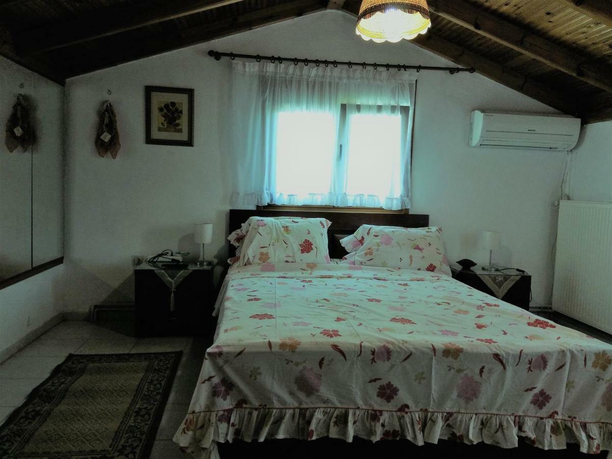 Willa Family Seaside House In Mouries Paralia Dionisiou Zewnętrze zdjęcie